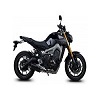 FZ-09