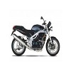 Speed Triple 955i 1999-2002
