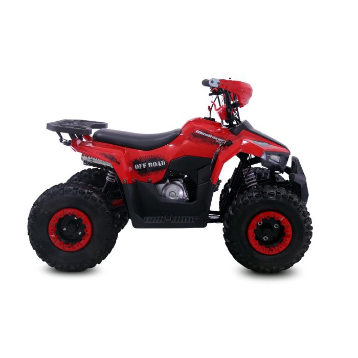 dětská čtyřkolka Mud Hawk 110, Barevná možnost černá
