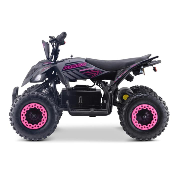 dětská elektrická čtyřkolka Mini Warrior 1000W, Barevná možnost zelená