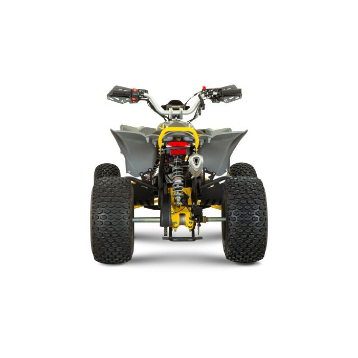 dětská benzínová čtyřkolka Raptor 150 poloautomat 3+1, Varianta osobní odběr nebo zaslání - rozebraný stroj