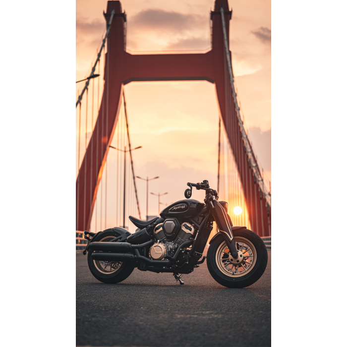 Benda Napoleon Bob 500 černá, zlatá kola