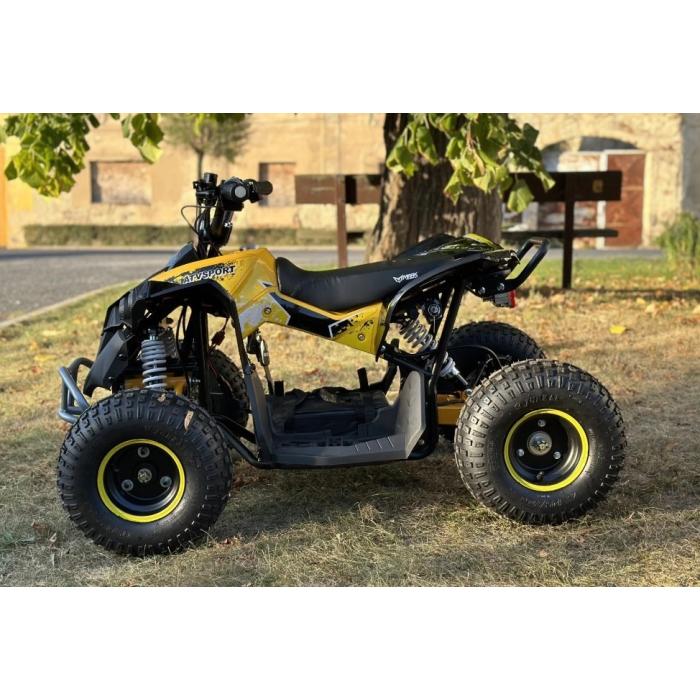 dětská elektrická čtyřkolka Renegade 1200W