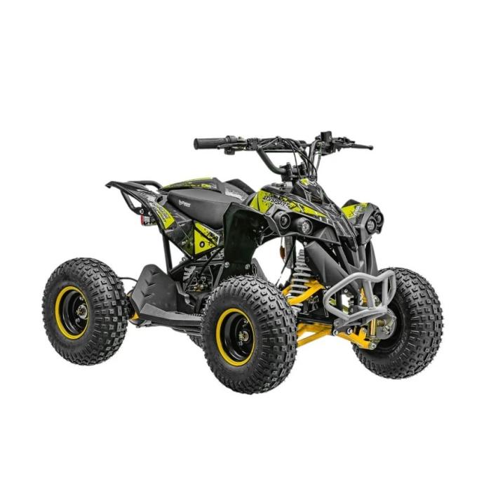 dětská elektrická čtyřkolka Renegade 1200W